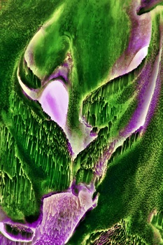 A 47B